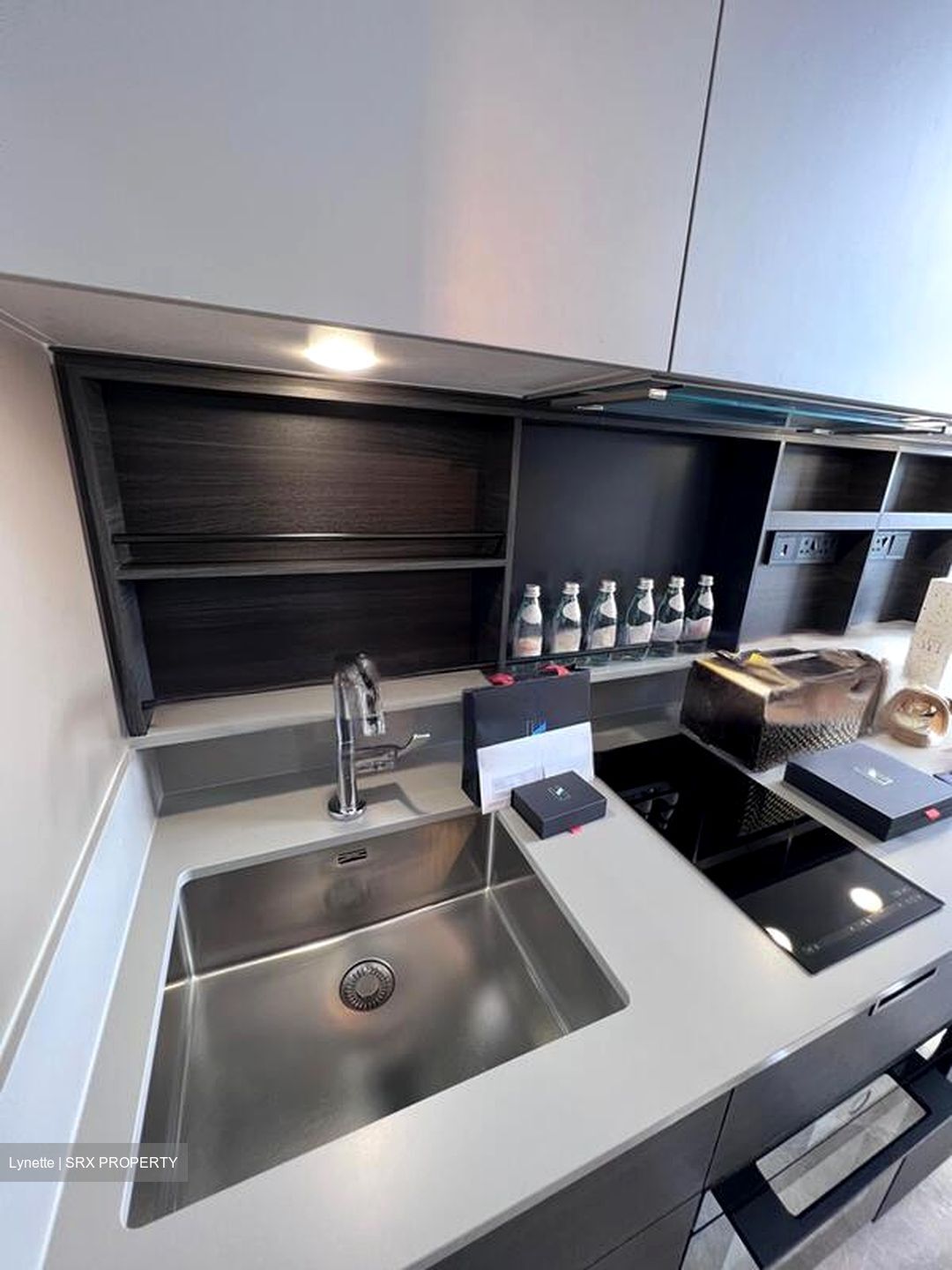 Haus On Handy (D9), Condominium #462816801